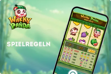 Spielregeln in Wacky Panda