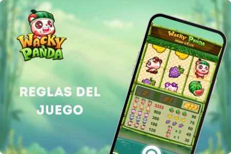 Reglas del juego en Wacky Panda